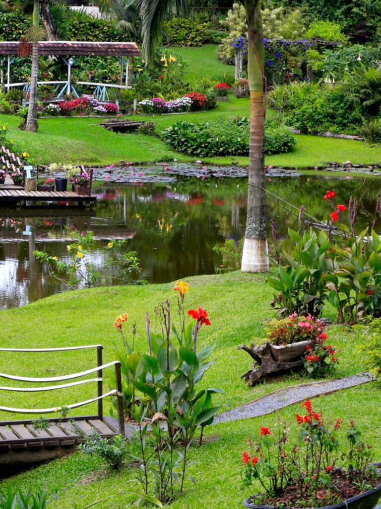 concurso de jardins festa das flores em joinville