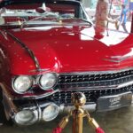 Museu do Automóvel em Balneário Camboriú