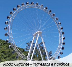 Ingressos e horários roda gigante